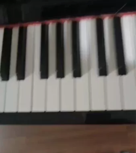 家用珠江118M二手钢琴出售、出租（出租1...