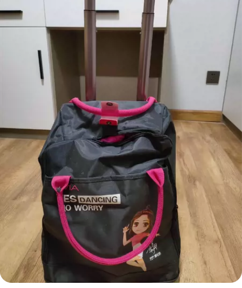 简易拉杆箱，全新，颜色价格美丽，自提 感兴...