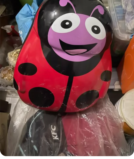 小朋友整理箱收纳箱卡通拉杆箱 收拾储藏室整...