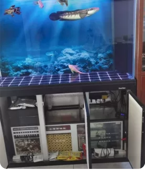 森森水族箱,YEE变频超静音泵。使用5个月...