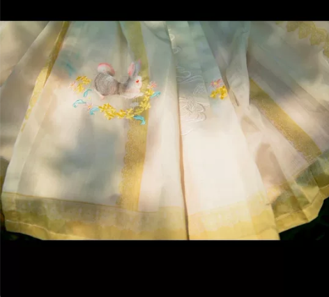 司南阁薄荷兔马面裙，挺新的，有灰尘，可能有...