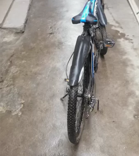 上海凤凰自行车成人24寸铝合金油碟山地男女...