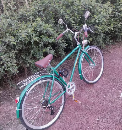 全新凤凰牌自行车。 感兴趣的话点“我想要”...