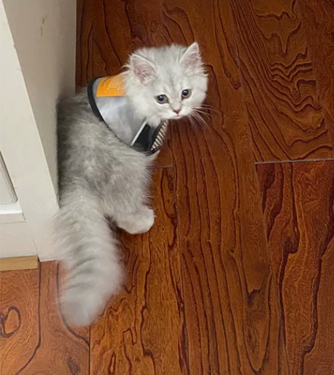 高等数学,电路,模拟电路,数字电路辅导。留...