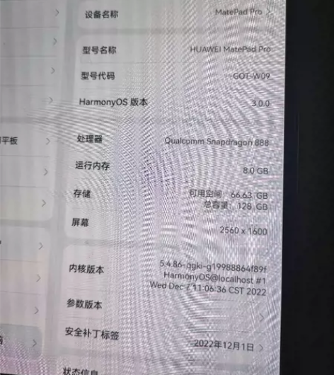 华为Mate Pad Pro性能版 刚买两...