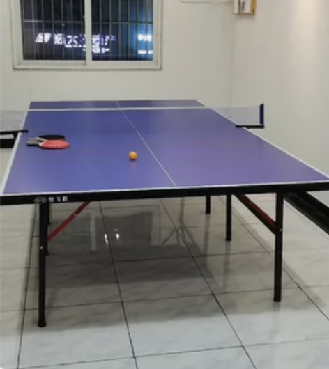 双飞胜家用室内乒乓球桌可折叠式乒乓球台标准...