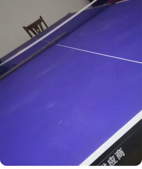乒乓球桌 太重了不外寄 冲动消费买完根本没...