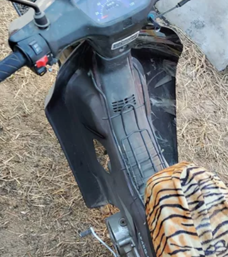 力帆摩托110弯梁摩托非常新行驶1万公里从未修过，家里代步非...