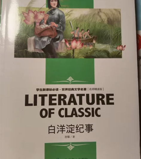 文学小说教育出版社七年级初一上册白洋淀纪事...