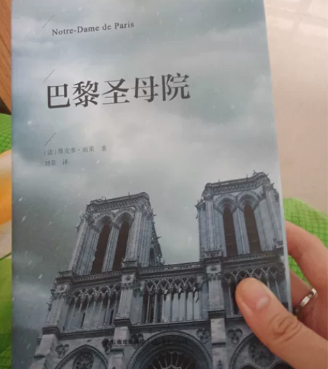 九成新  巴黎圣母院 感兴趣的话点“我想要...