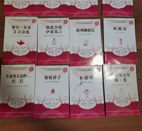 初中生语文新课标必读精编一套 九五新，几乎...