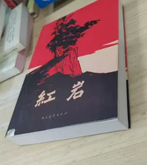 正版二手 红岩 罗广斌、杨益言  著中国青...