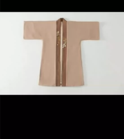 无衣饮羽【恰同学少年】汉服女长干寺加绒M码...