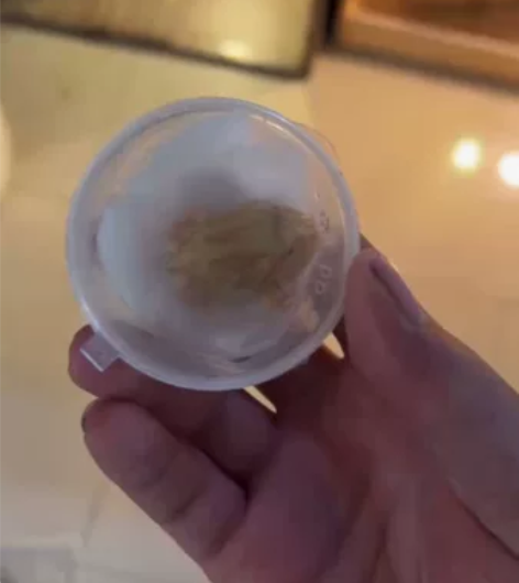 各类角蛙。4到五厘米 感兴趣的话点“我想要...