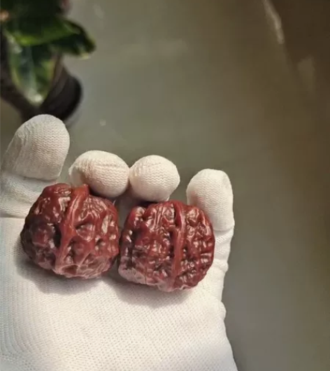 一线蛙头，玩了好多年了，不多介绍了，亏本钱...