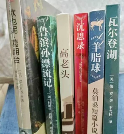 悉达多 瓦尔登湖 罪与罚 雾都孤儿 窄门 ...