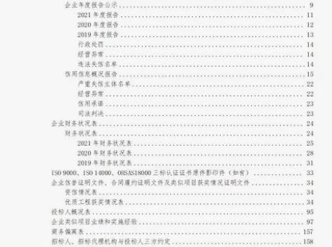 代做标书（商务文件、技术文件），个人全程负...