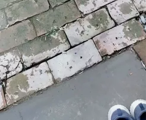 361女运动鞋 春秋季新款防滑休闲鞋 Q弹...