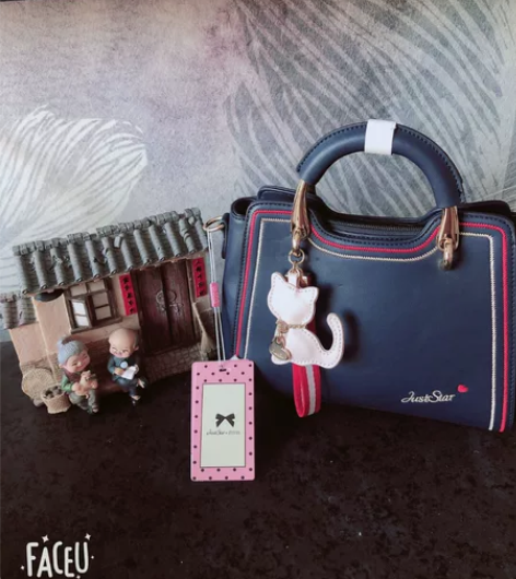 欧时纳全新女包，新款女包，很好看的一款呢，...