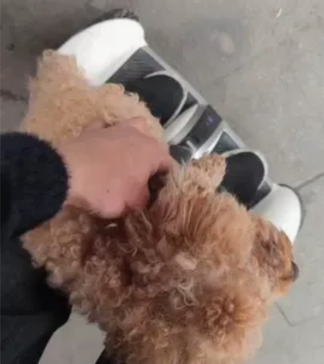 小米平衡车迷你九号和胖米两款，车架也有80...