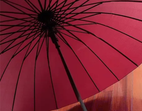 【闲置】16骨长柄雨伞自动款晴雨两用大号双...