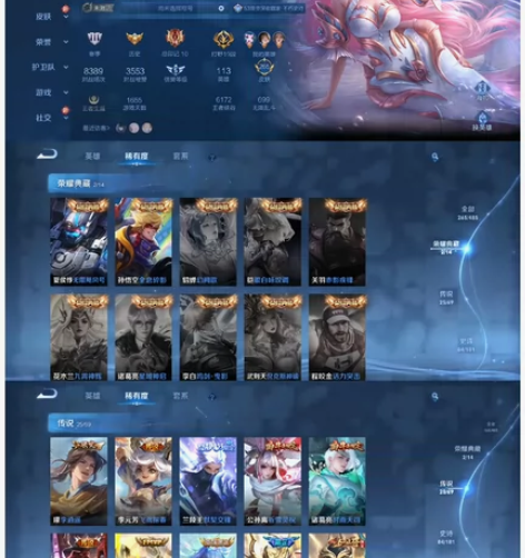 王者荣耀安卓微区贵族10/265皮3典藏3...