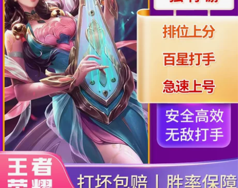 自家打手5分钟上号王者荣耀代练上分排位巅峰...