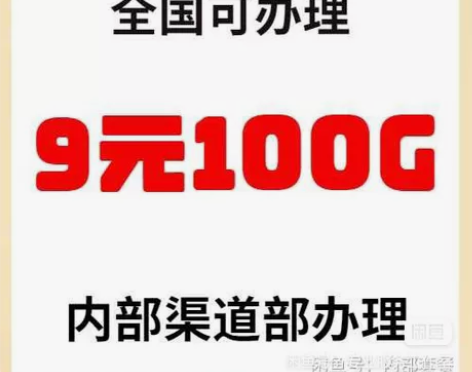9元100G内部渠道办理套餐 对，您没看错...