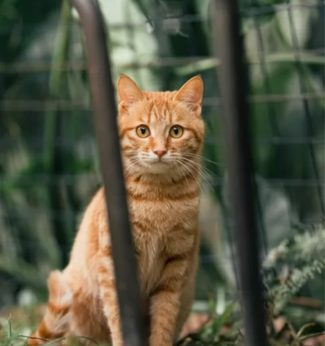 9折收话费自己用(支持广东移动，广东电信)...