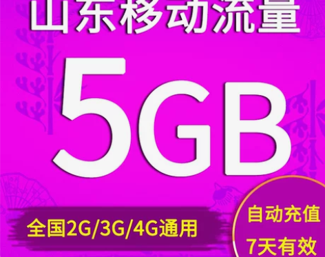 山东移动流量充值5GB全国2G/3G/4G...