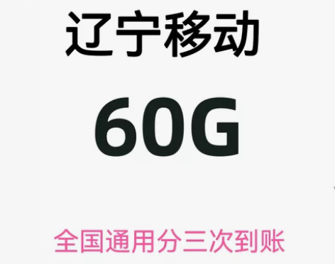 辽宁移动流量60g  流量加油包 移动流量...