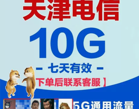 天津电信流量充值10G/7天包中国电信手机...