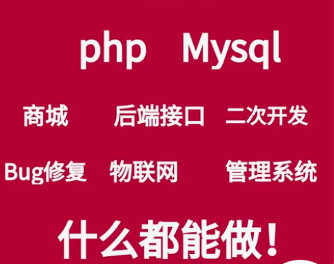 php代做软件开发定制程序设计代码项目外包...