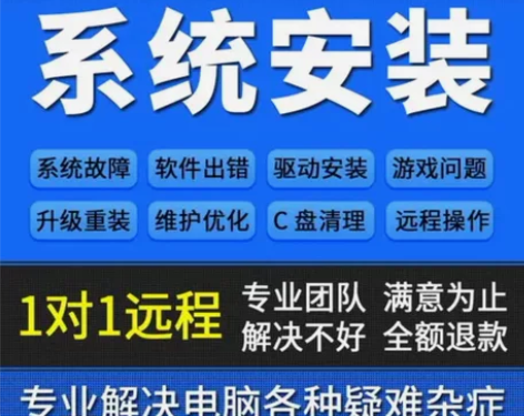 在线远程重装系统安装电脑维修网络问题蓝屏死...