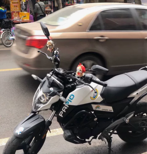 休闲出春风狒狒21年4月的车，公里数120...