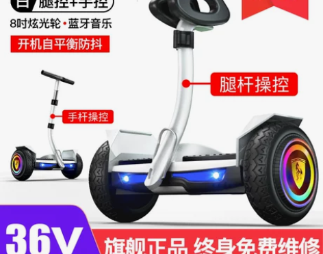 【年货价】领奥官方旗舰店2022新款电动平...