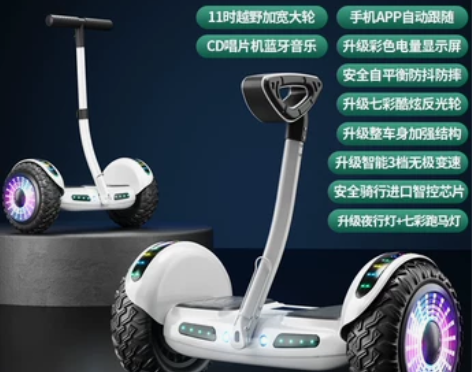 德国ZOLA官方旗舰店2023新款平衡车智...