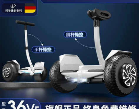 德国ZOLA官方旗舰店2022新款平衡车智...