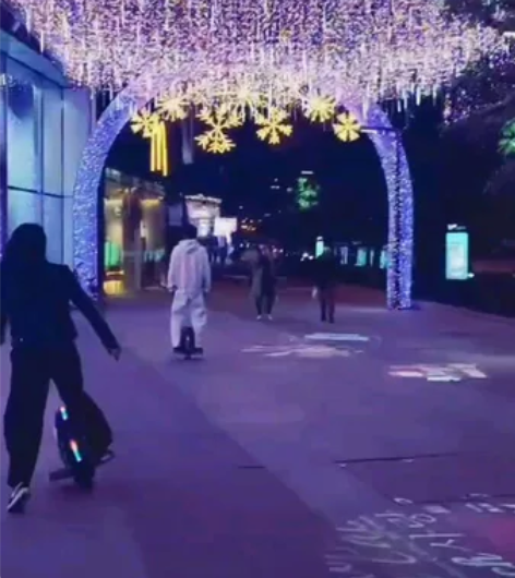 乐行、纳恩博、金丛、老鸟 电动独轮车/火星...