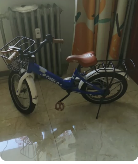 飞鸽儿童自行车12寸 同城自提小孩没怎么骑...