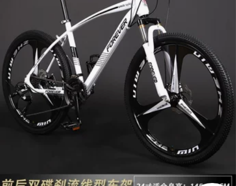 永久牌山地自行车青少年男式变速学生成人单车...