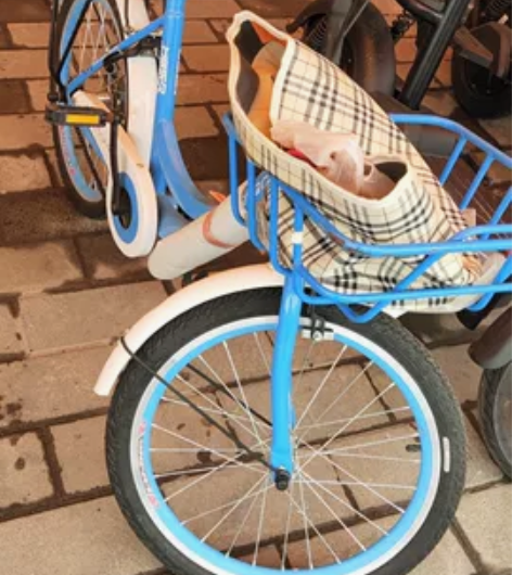 永久牌  喜欢的来拍吧 感兴趣的话点“我想...