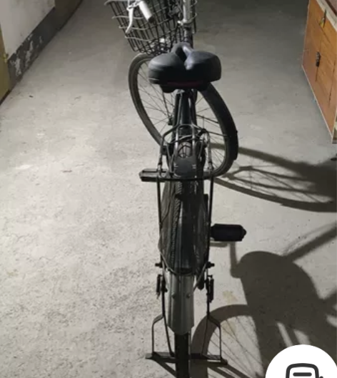 出口大雁把永久牌26寸斜双杠自行车！ 感兴...