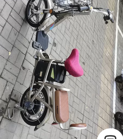 捷安特锂电池电动车,几乎全新,用的很少,闲...