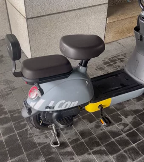 新日电动车电瓶车 去年的车,使用还没有一年...