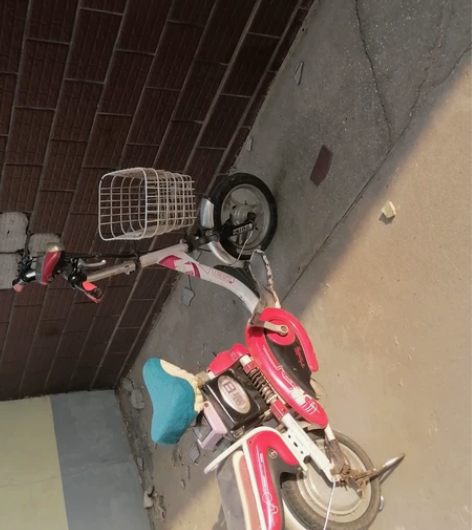 新日小款电动车，刚上的新国标绿牌，进出电梯...