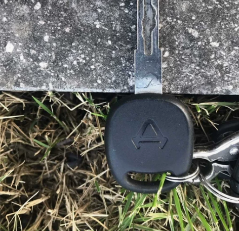 小牛电动车（增加–全丢） 照片远程配小牛电...