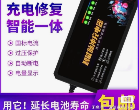 电动车电瓶充电器48伏爱玛雅迪电车三轮车通...