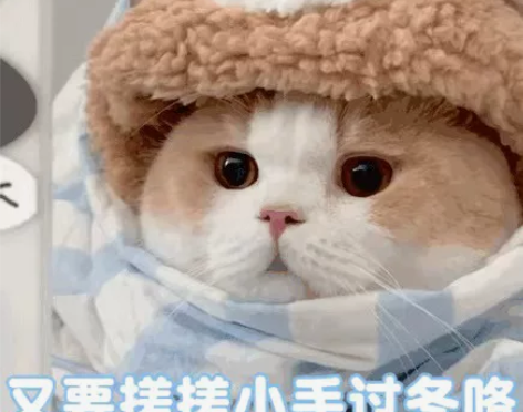 收璐璐手办头像 感兴趣的话点“我想要”和我...