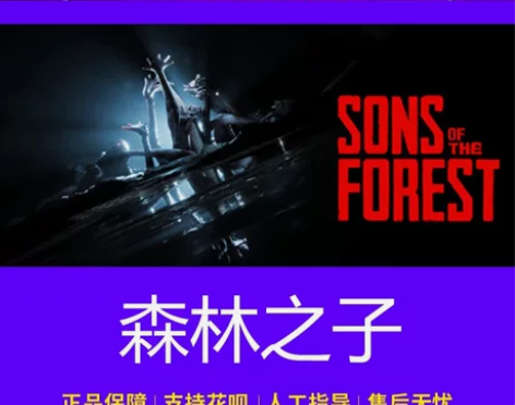 森林之子pc森林2 steam用你自己的号...